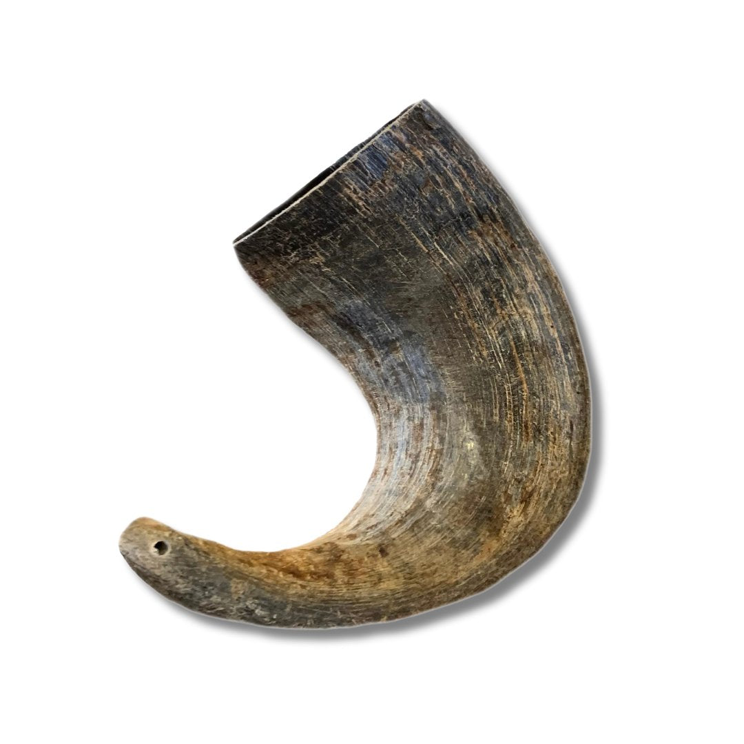 Buffalo Horn Chews