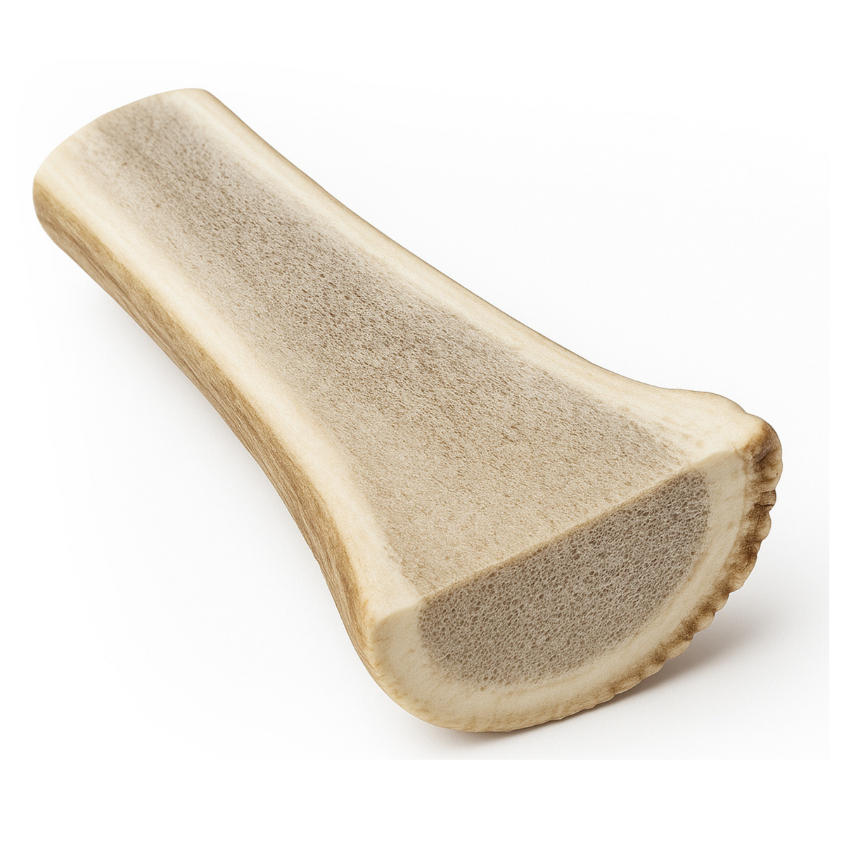 Split-Cut Antler Chews (Exposed Marrow)