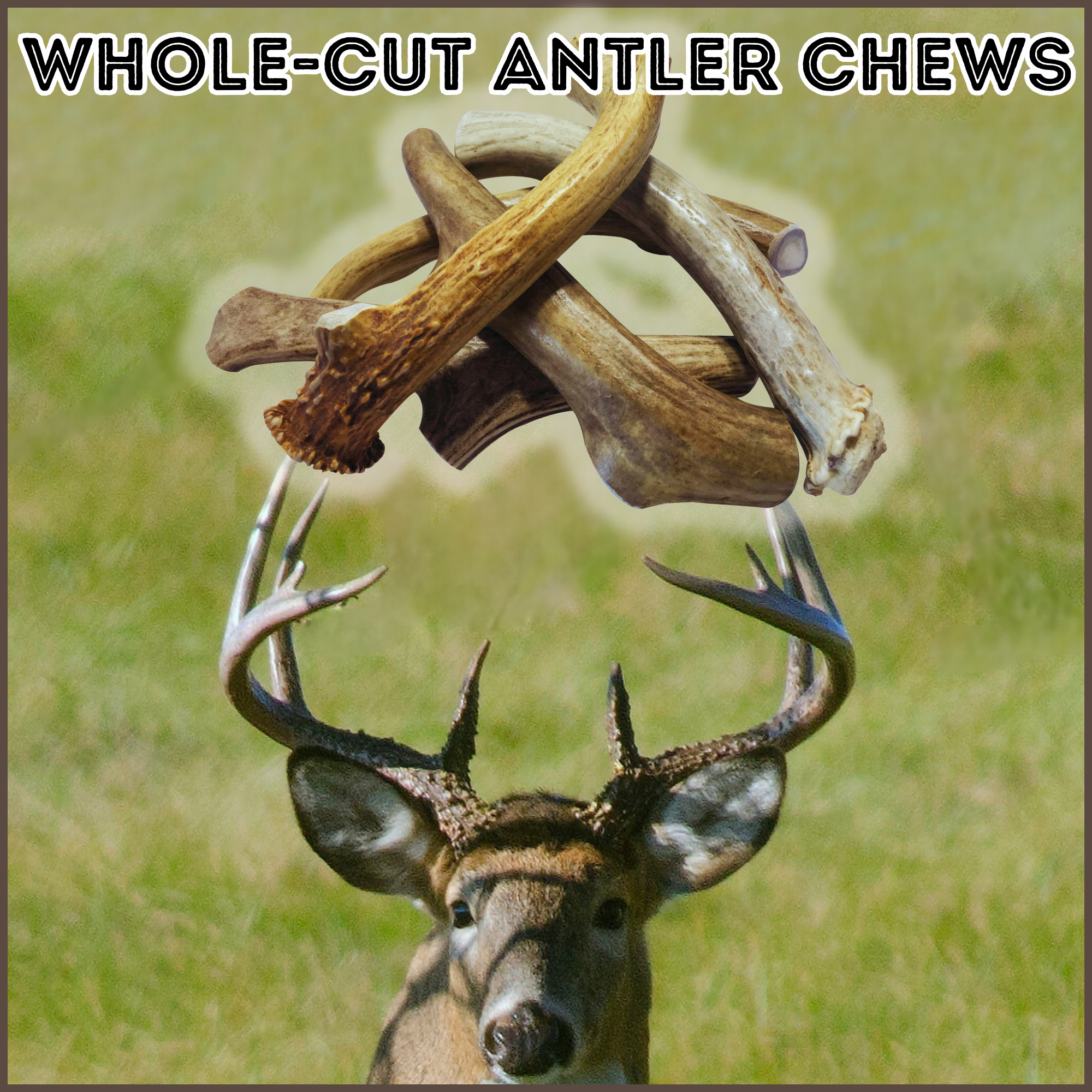Whole-Cut Antler Chews