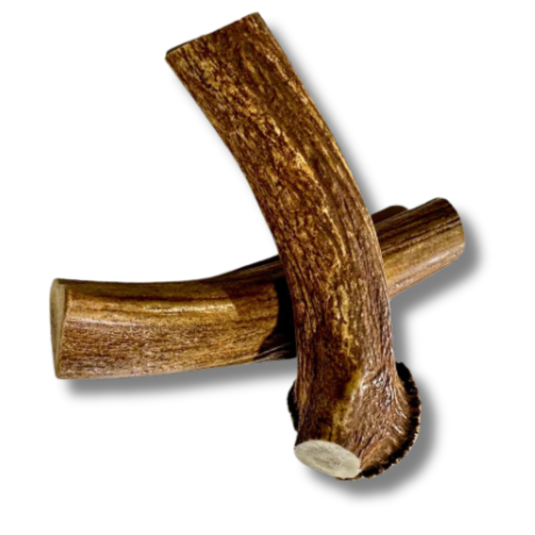 Whole Antler Chews
