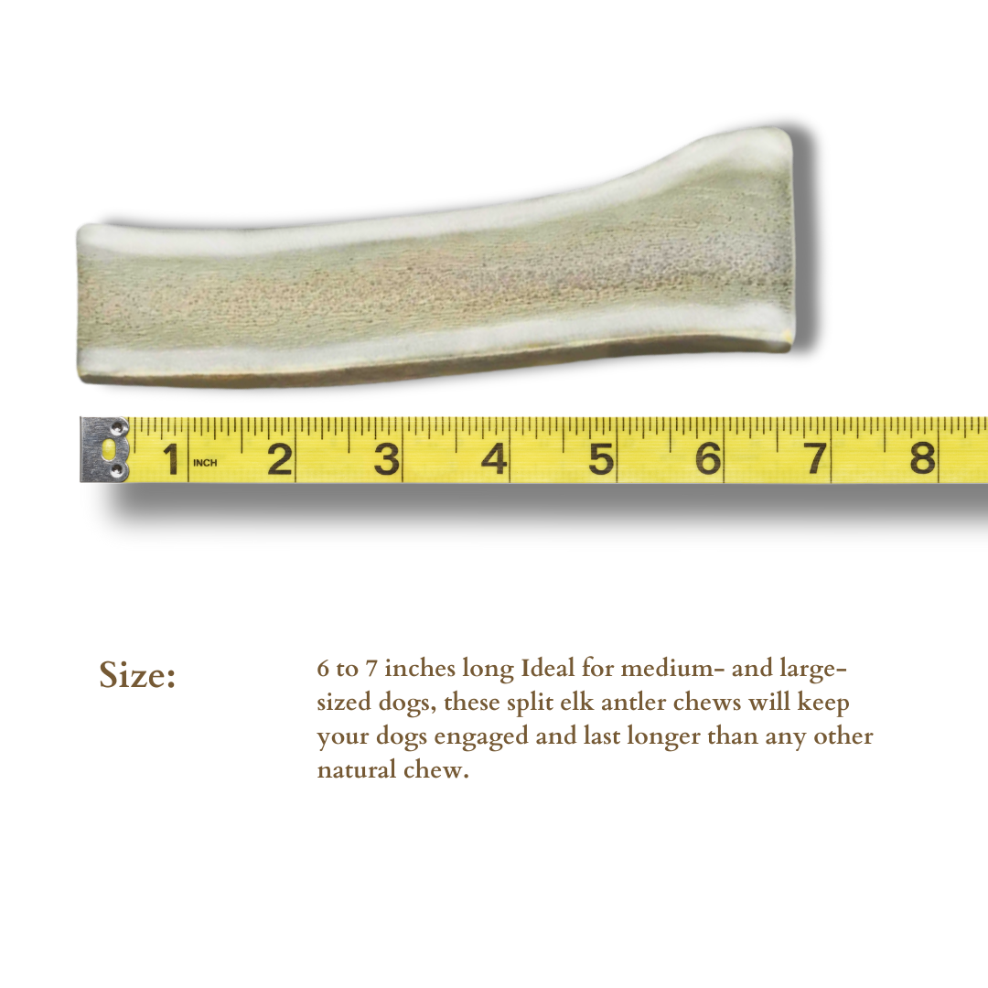 1 Pack - Large | Split Elk Antler Dog Chew