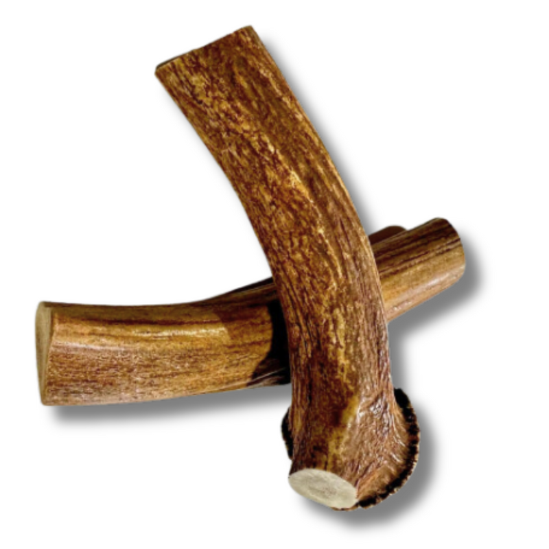 2 Pack - Jumbo - XXL | Deer Antler Dog Chew - 2XL