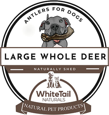 2 Pack - Large | Deer Antler Dog Chew