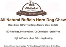 Load image into Gallery viewer, 3 Pack - Medium | Buffalo Bully Horns - Free Range - All Natural Dog Chews
