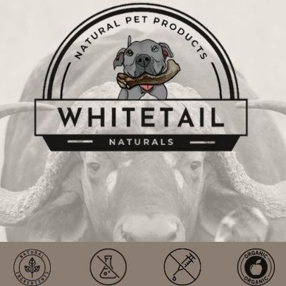 2 Pack - Large | Buffalo Bully Horns - Free Range - All Natural Dog Chews