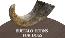 Load image into Gallery viewer, 2 Pack - Large | Buffalo Bully Horns - Free Range - All Natural Dog Chews

