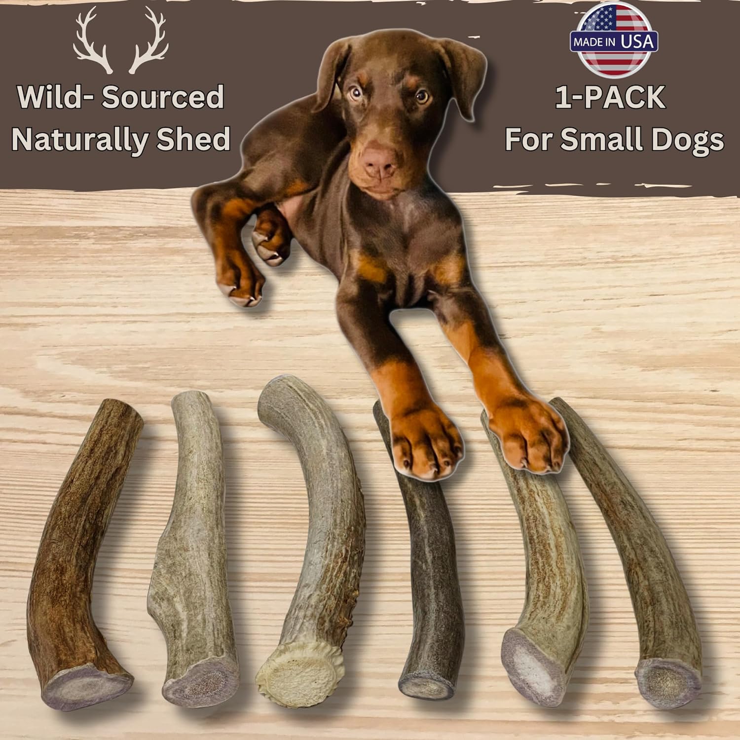 1 Pack - Small | Deer Antler Dog Chews Regular