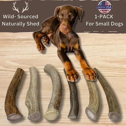 1 Pack - Small/Thick | Deer Antler Dog Chews Thick