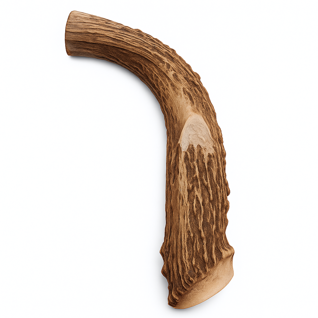 1 Pack- XXL Extra Large - Massive | Deer Antler Dog Chew