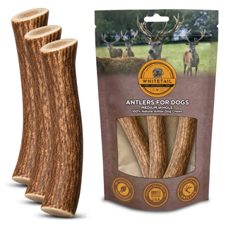 Medium Whole Deer & Elk Antler Dog Chews – 1, 3 or 6 Pack