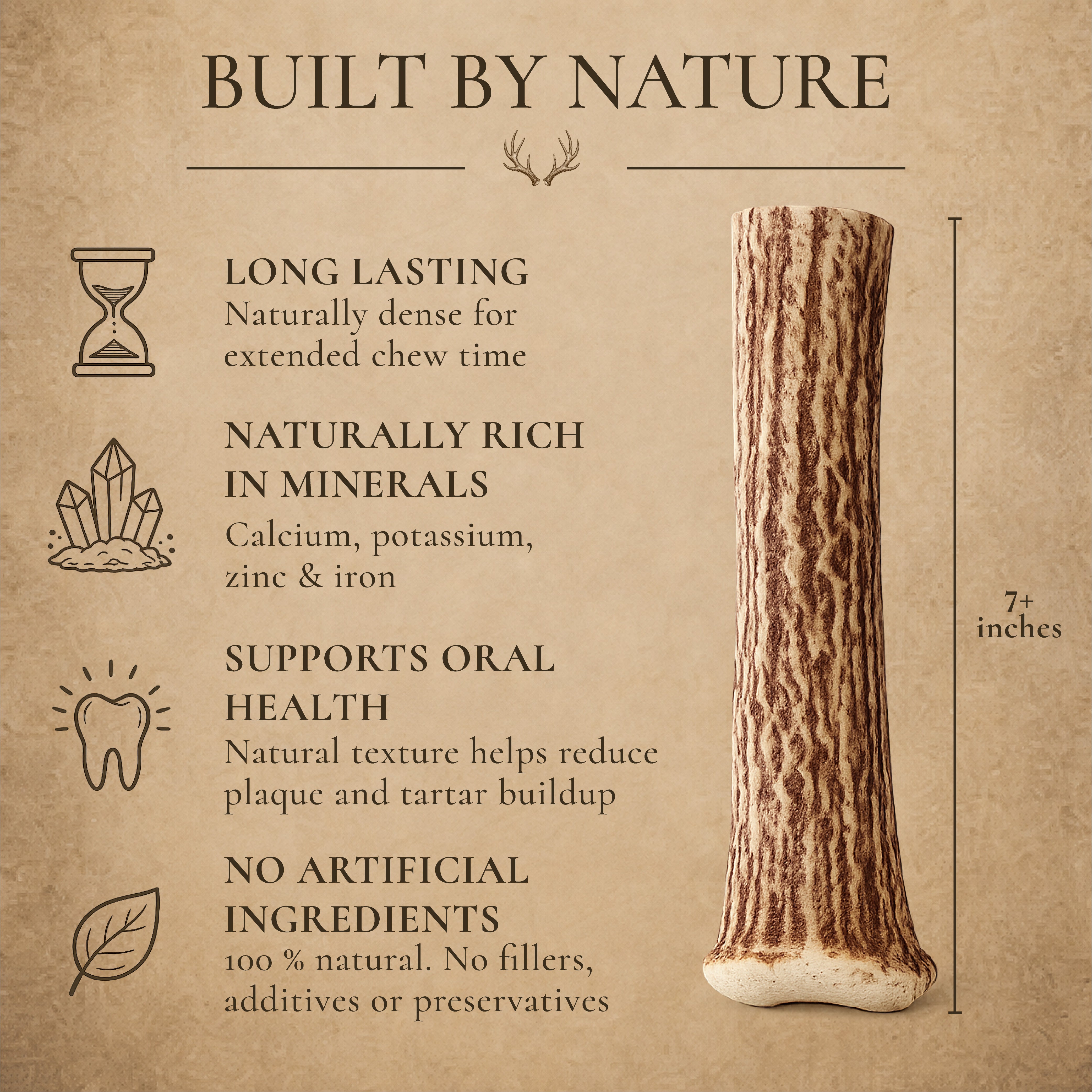 Monster XXL Whole Deer Antler Dog Chew for Large Dogs 50+ lbs