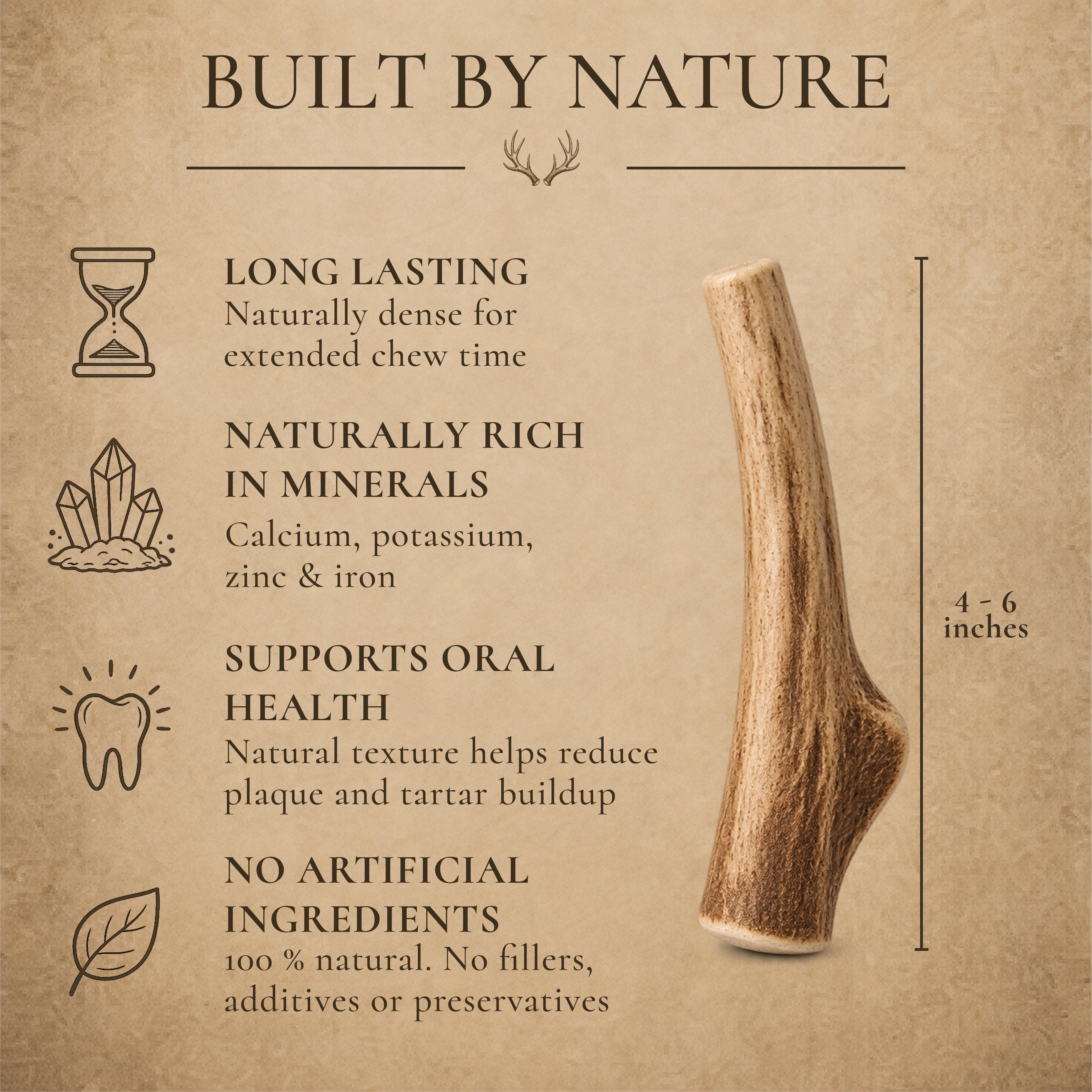 Small Whole Deer Antler Dog Chews – 3, 6 or 12 Pack