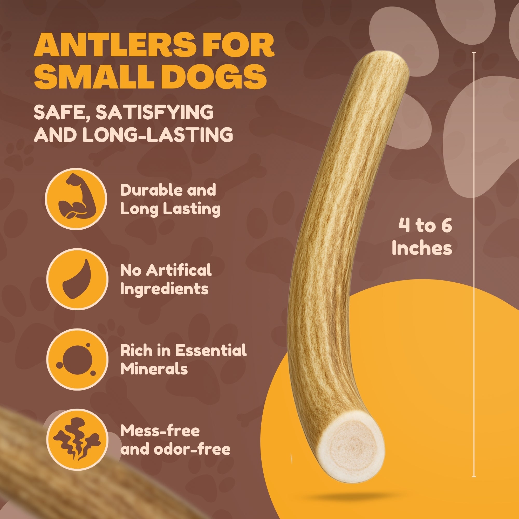 Small to Medium | Whole DEER Antler Dog Chews