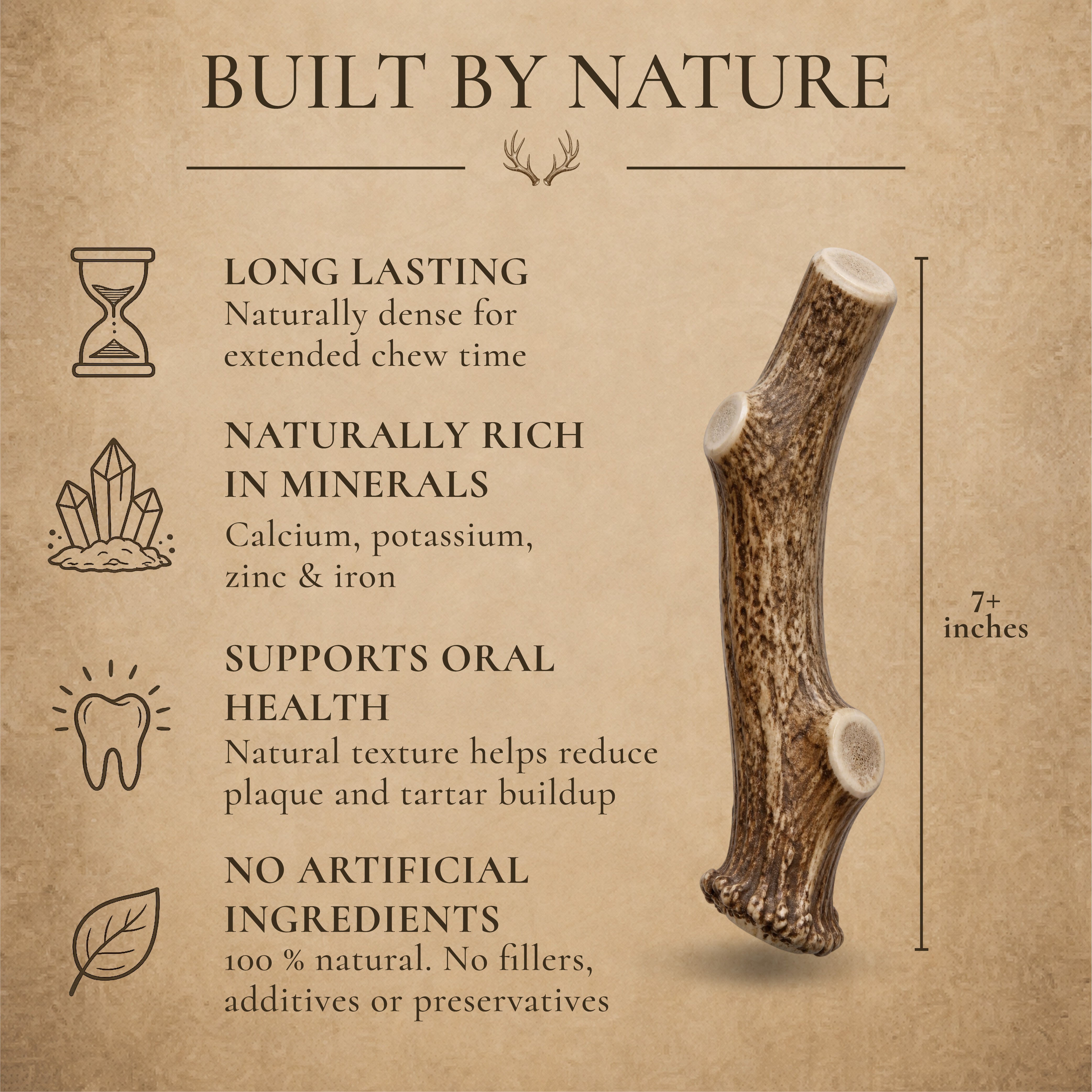 Large Whole Deer Antler Dog Chew for Medium & Large Dogs | 1, 2 or 3 Pack