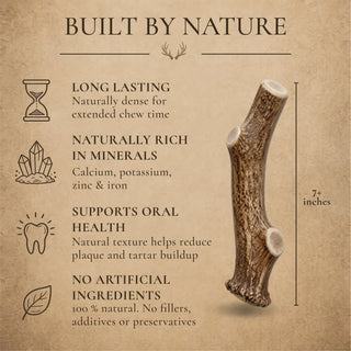 Large Whole Deer Antler Dog Chew for Medium & Large Dogs | 1, 2 or 3 Pack