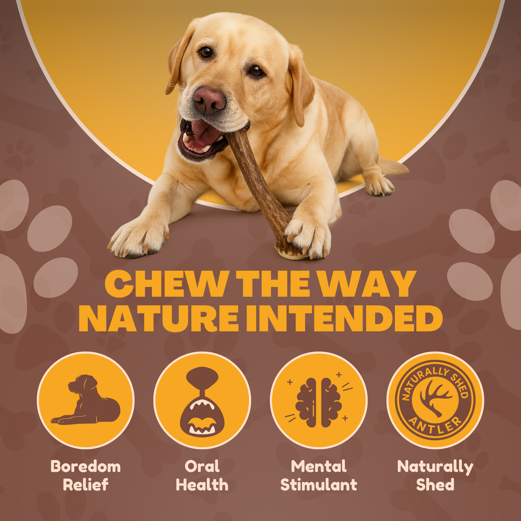 3 Pack - Large | Deer Antler Dog Chews