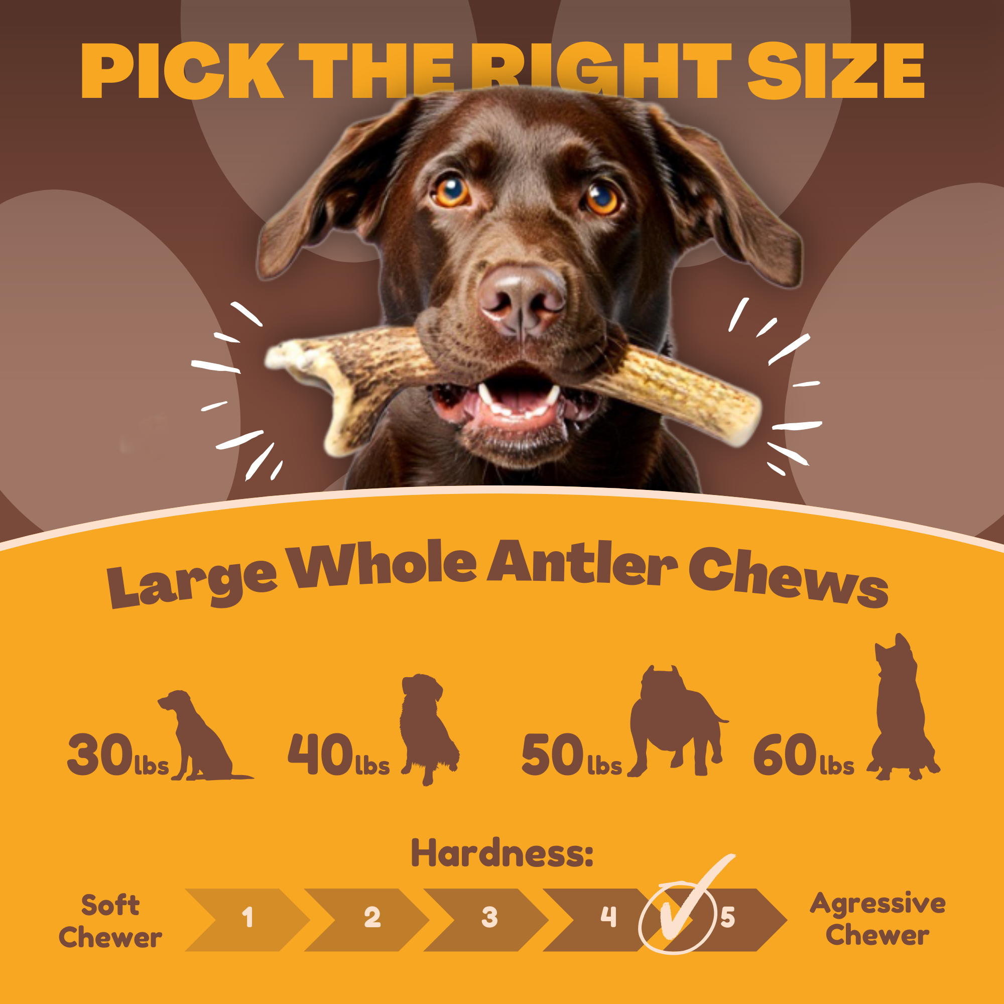 3 Pack - Large | Deer Antler Dog Chews