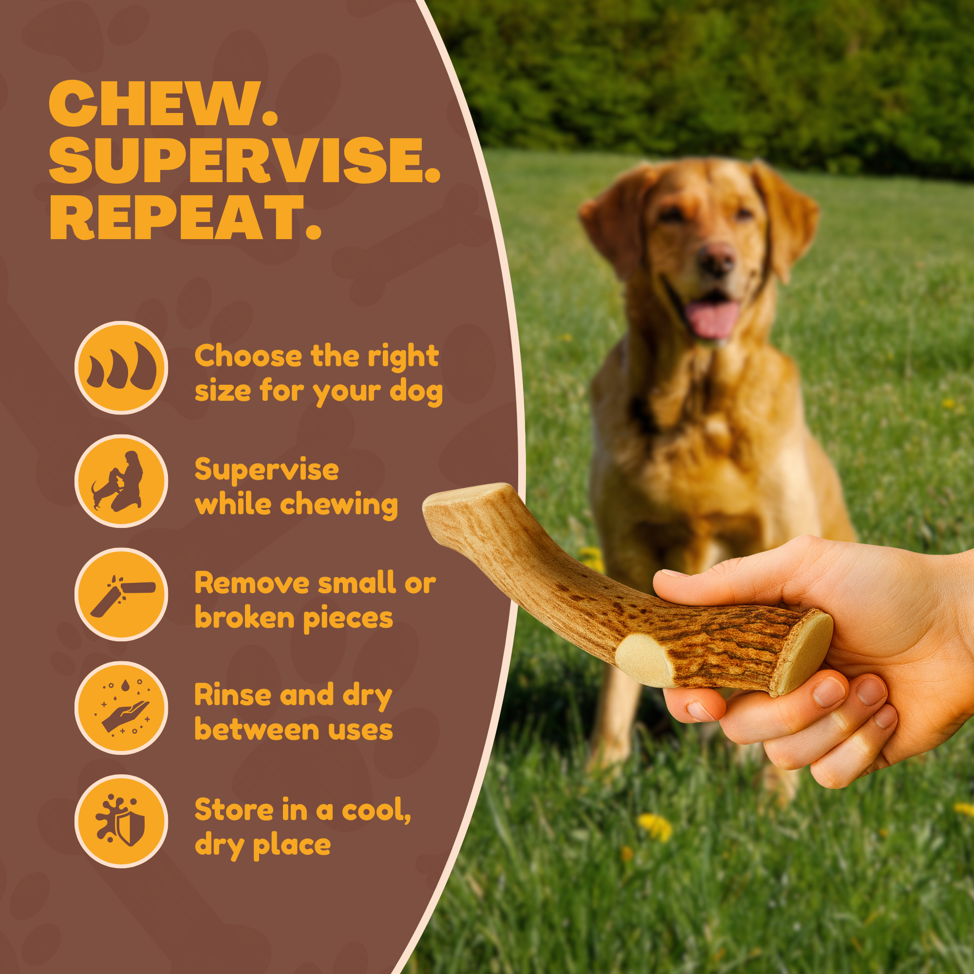 3 Pack - Large | Deer Antler Dog Chews