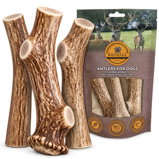 Large Whole Deer Antler Dog Chew for Medium & Large Dogs | 1, 2 or 3 Pack