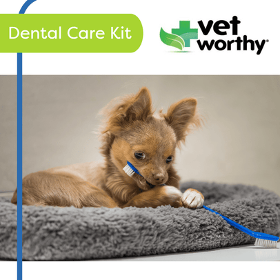 Vet Worthy -  Dental Kit - 1 Ct -