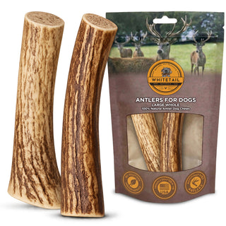 Large Whole Deer Antler Dog Chew for Medium & Large Dogs | 1, 2 or 3 Pack
