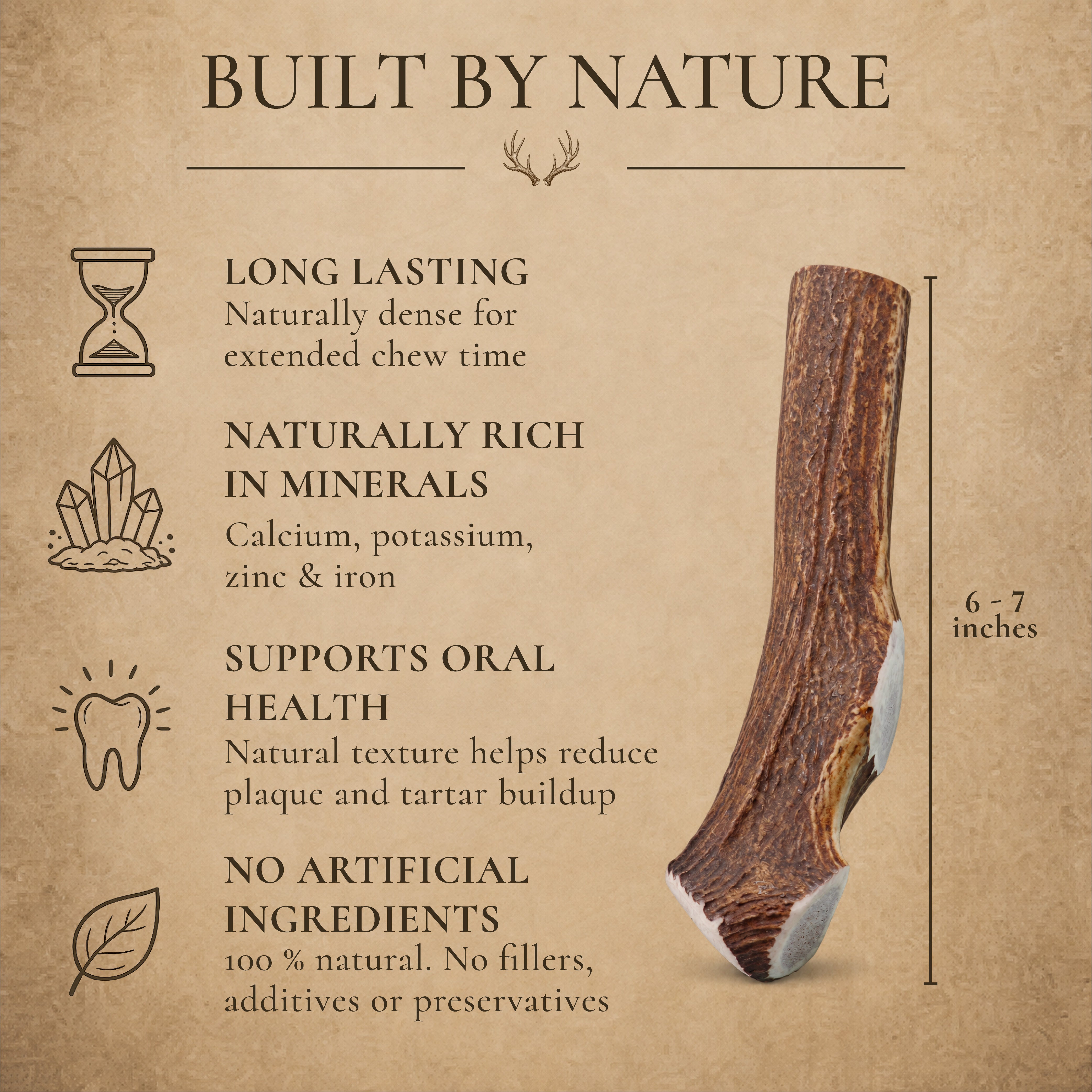 Large Whole Elk Antler Dog Chew for Medium & Large Dogs - 1, 2, or 3 Pack