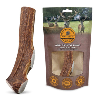 Large Whole Elk Antler Dog Chew for Medium & Large Dogs - 1, 2, or 3 Pack