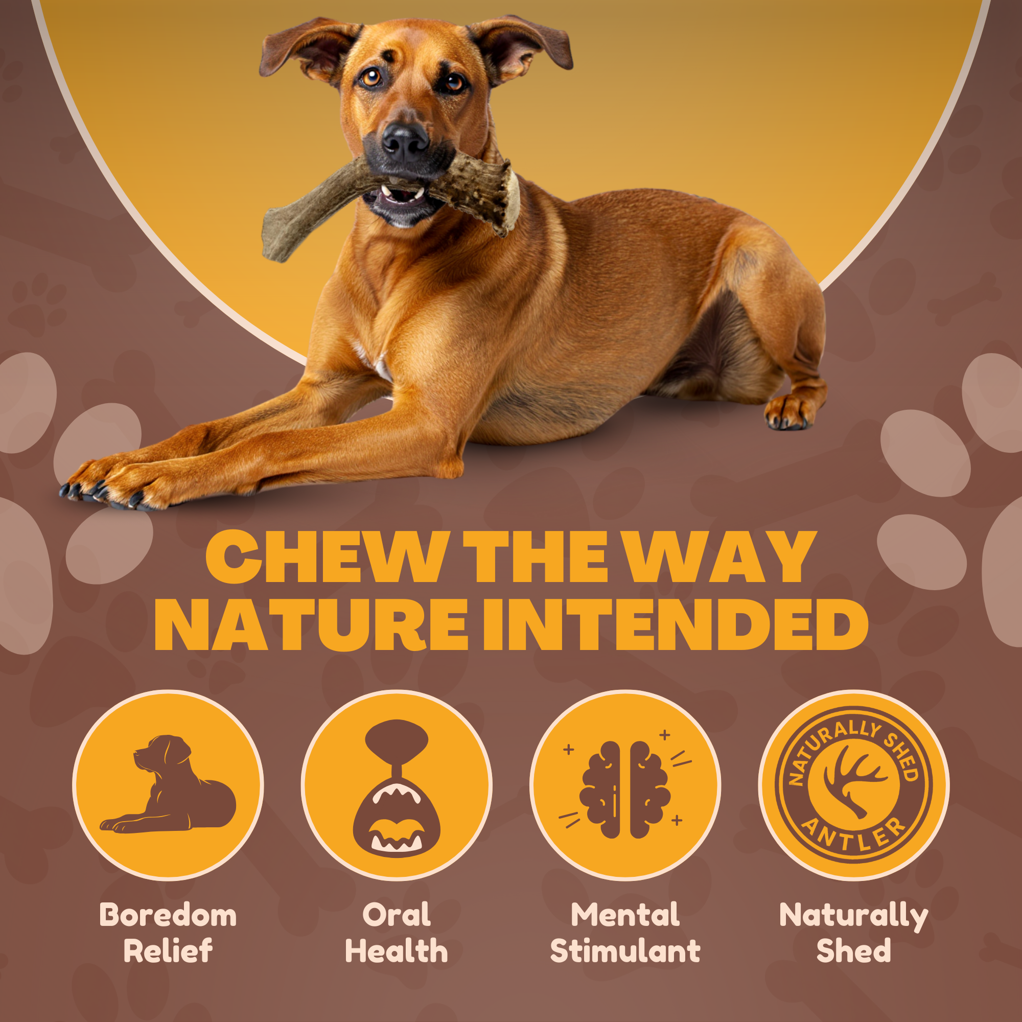 2 Pack - Jumbo - XXL | Deer Antler Dog Chew - 2XL