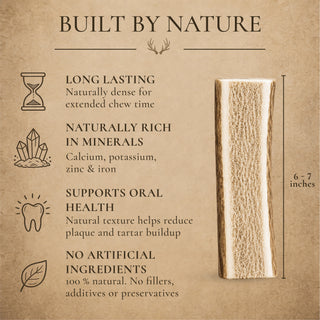 Large Split Elk Antler Dog Chews – 1, 2 or 3 Pack