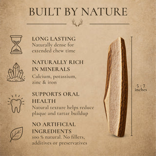 Medium Split Elk Antler Dog Chews – 1, 3 or 6 Pack