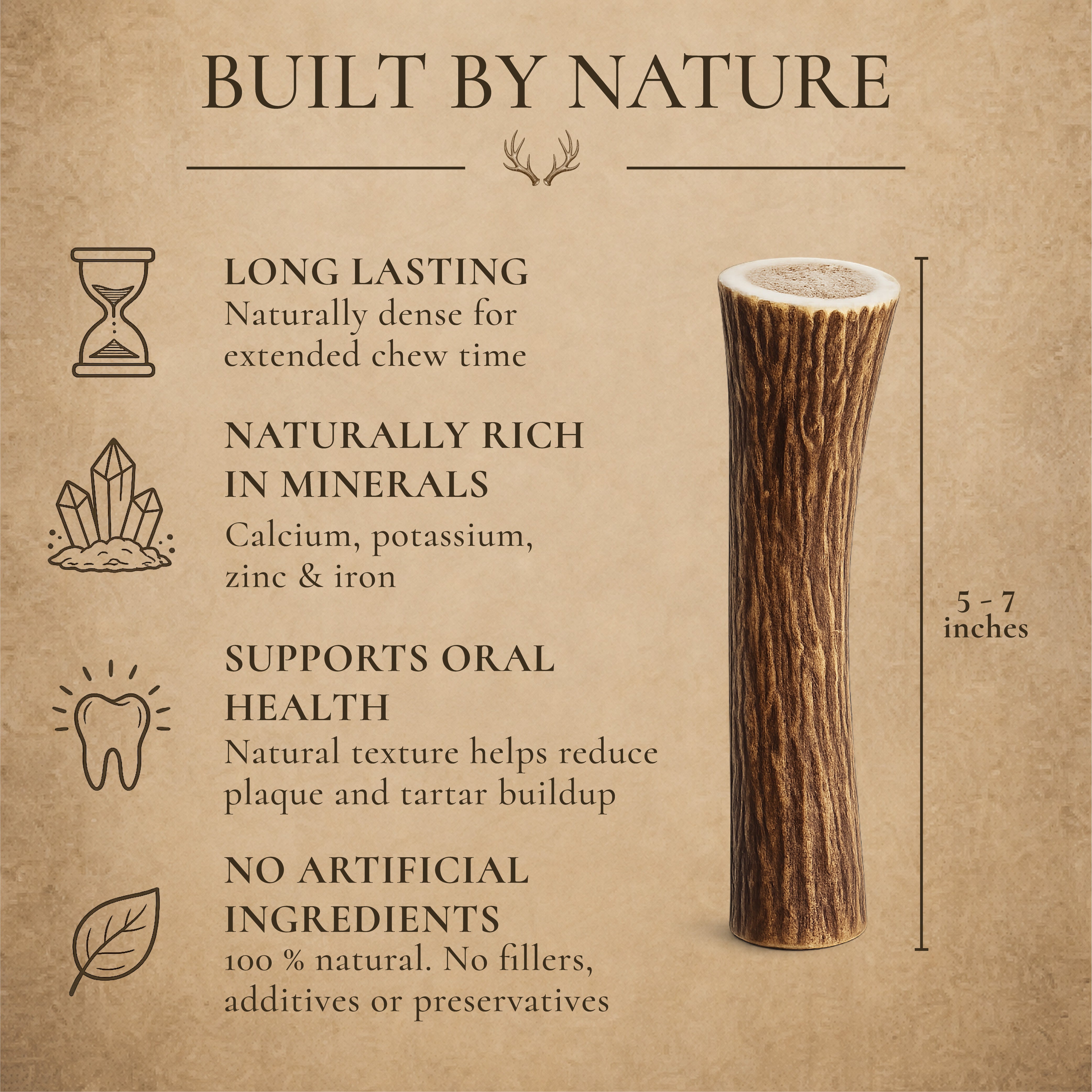 Medium Whole Deer & Elk Antler Dog Chews – 1, 3 or 6 Pack