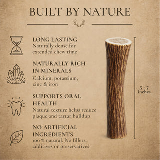 Medium Whole Deer & Elk Antler Dog Chews – 1, 3 or 6 Pack