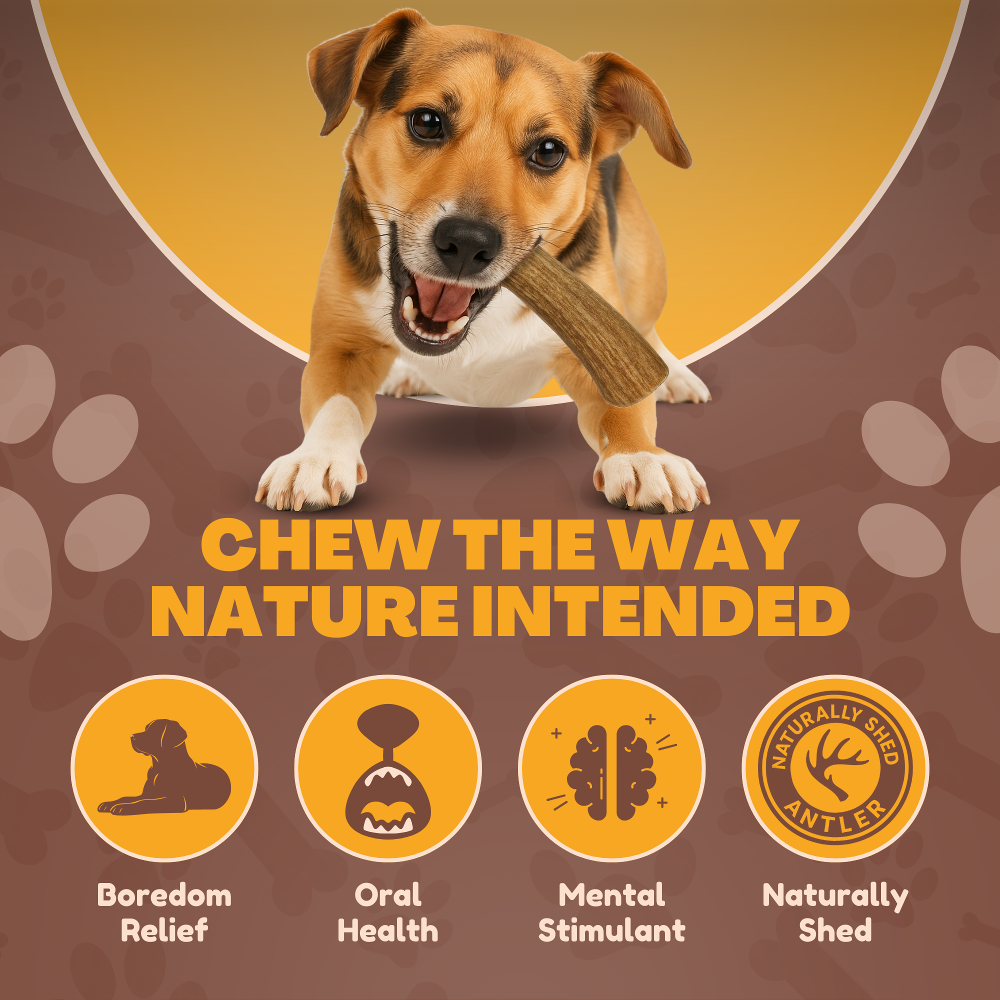 6 Pack - Medium | Deer Antler Dog Chews