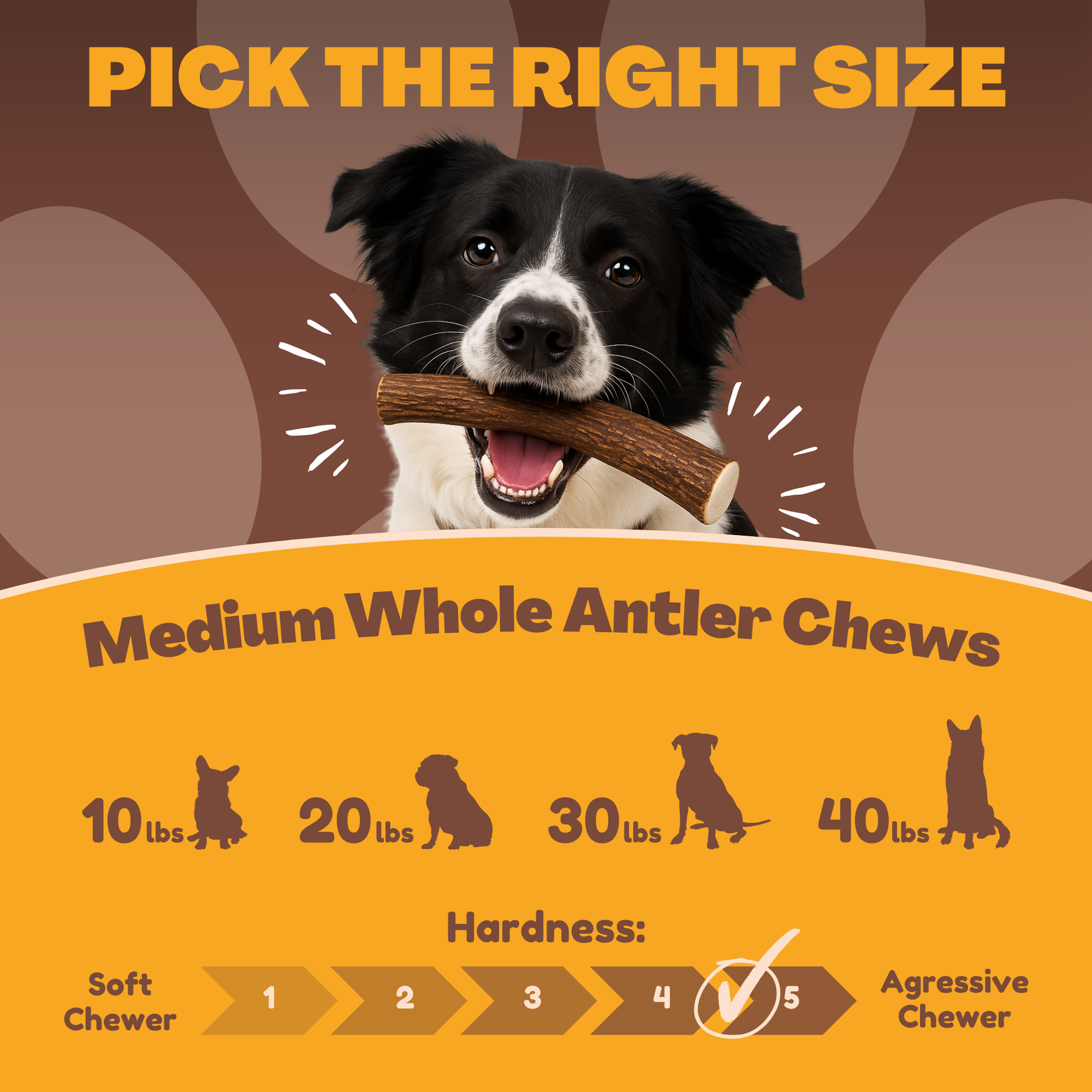 6 Pack - Medium | Deer Antler Dog Chews