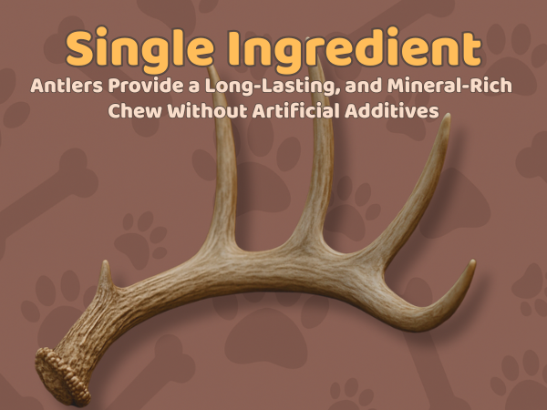 3 Pack - Large | Deer Antler Dog Chews