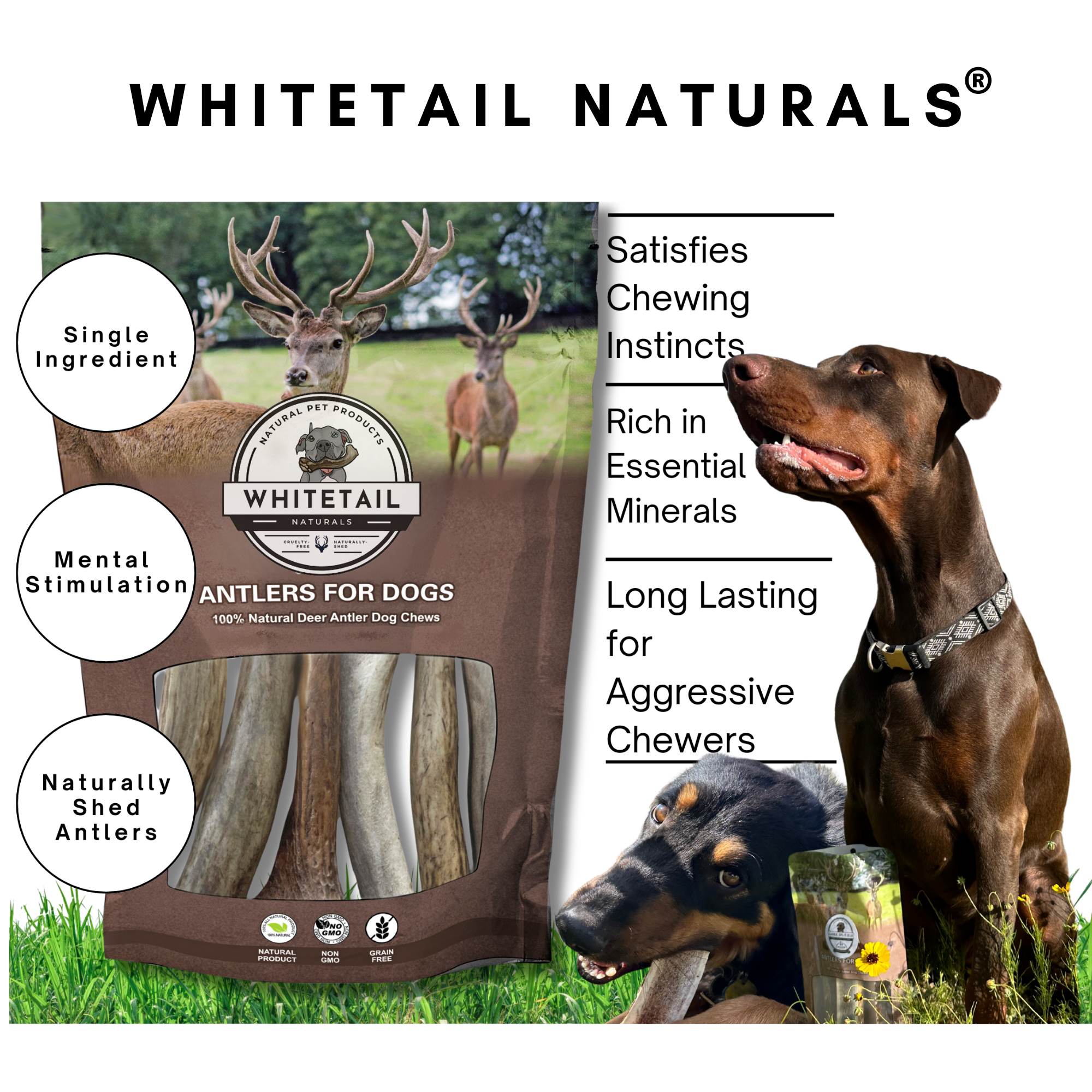 1 Pound Pack Bulk | Premium Deer Antler Chews