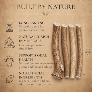 1 lb Bulk Whole Deer Antler Dog Chews – Value Pack
