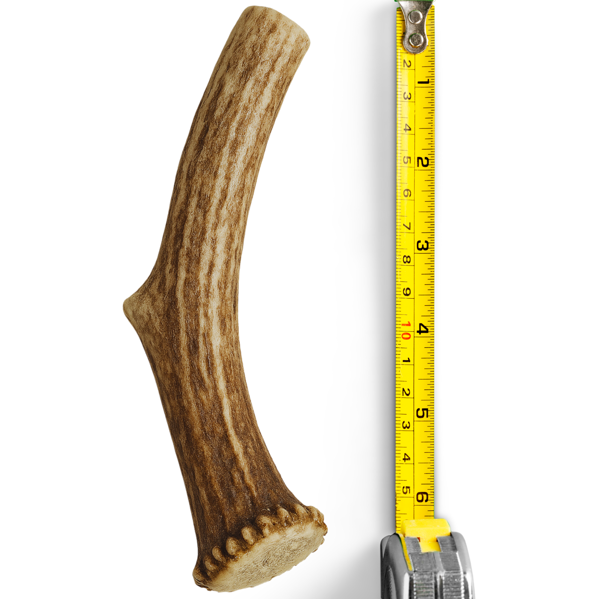 1 Pack - Large | Deer Antler Dog Chew