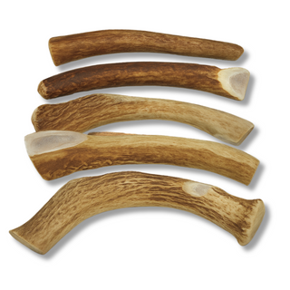 1 lb Bulk Whole Deer Antler Dog Chews – Value Pack