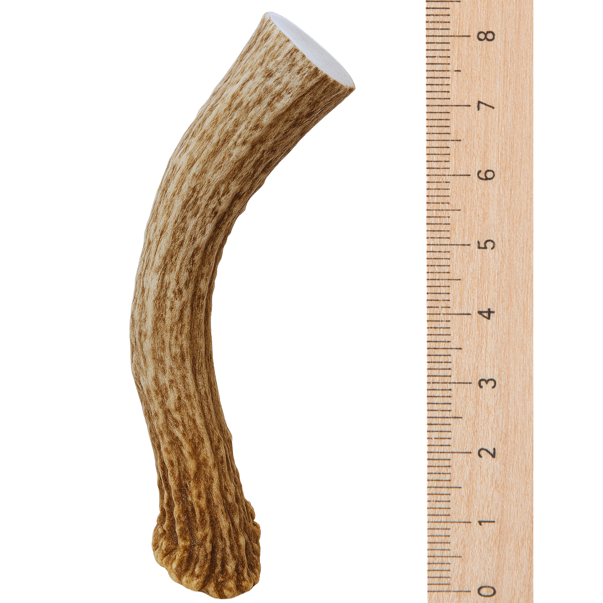 1 Pack - XL Extra Large | Deer Antler Dog Chew