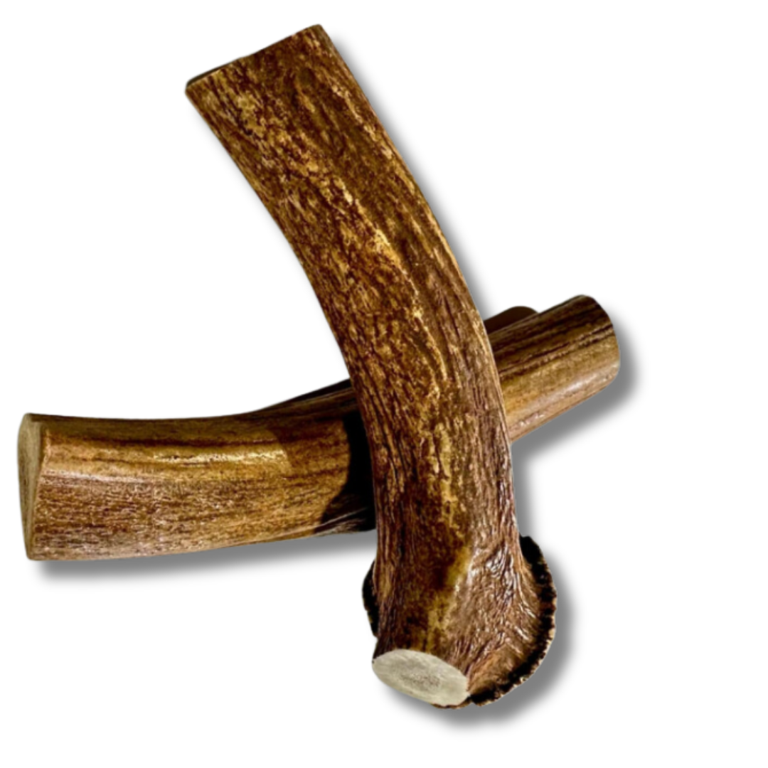 2 Pack - Jumbo - XXL | Deer Antler Dog Chew - 2XL