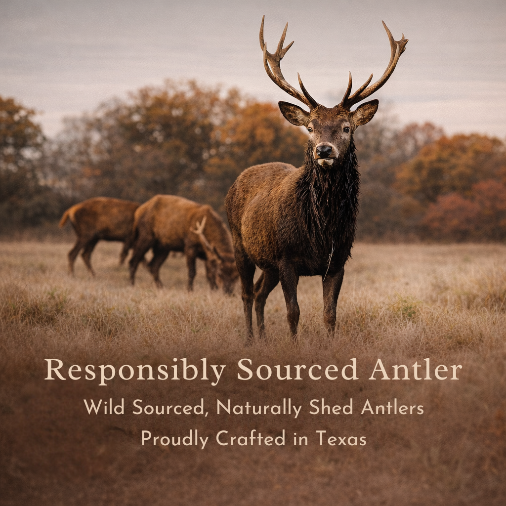 Large | Whole Deer Antler Dog Chew -Single or Multipac