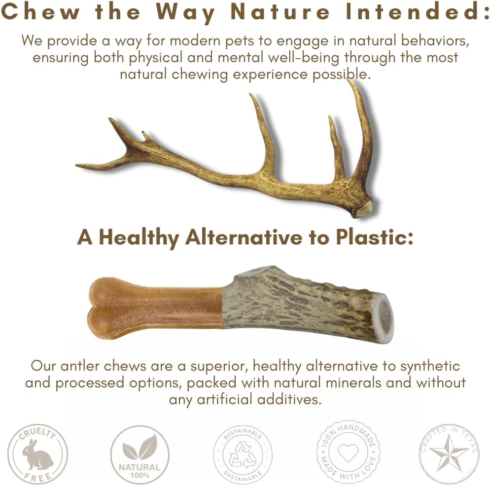 3 Pack - Large | Deer Antler Dog Chews