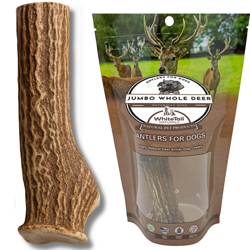 Monster - XXL | Deer Antler Dog Chew - Single or MultiPack