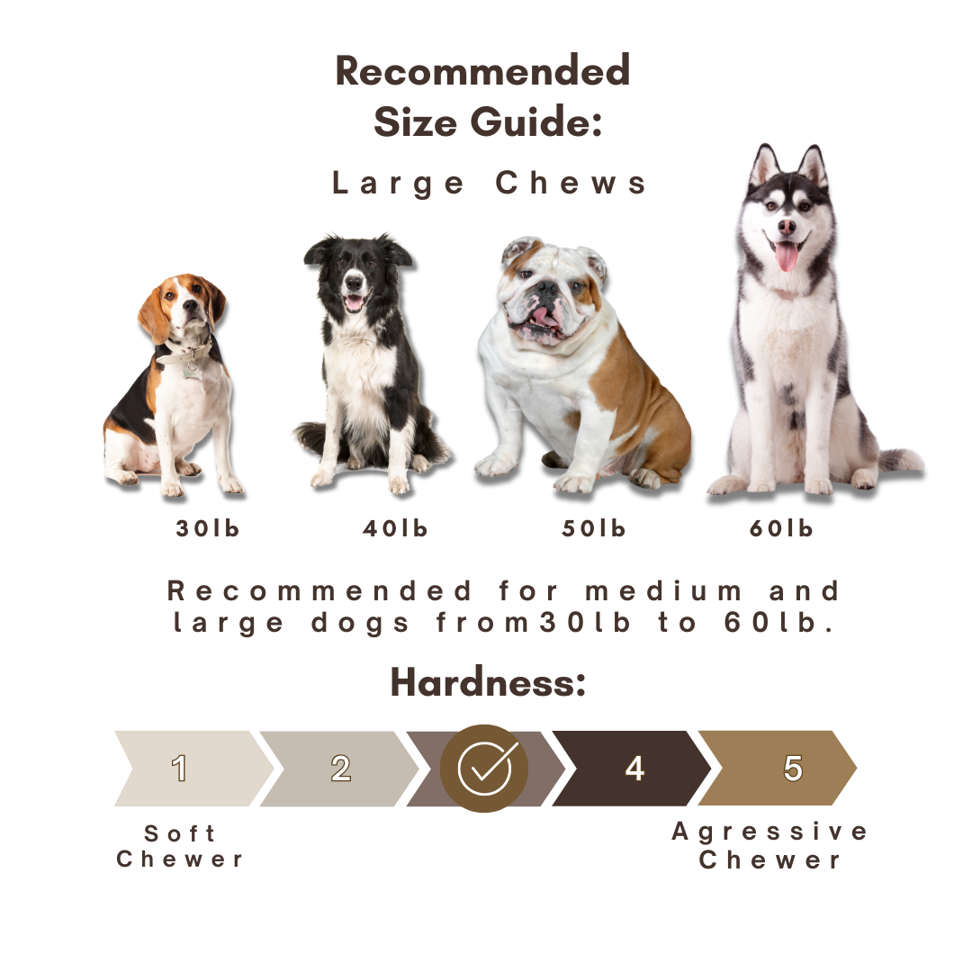 3 Pack- Large - Himalayan Yak Cheese Dog Chew