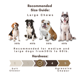 Large - Himalayan Yak Cheese Dog Chew - Single or Multipack