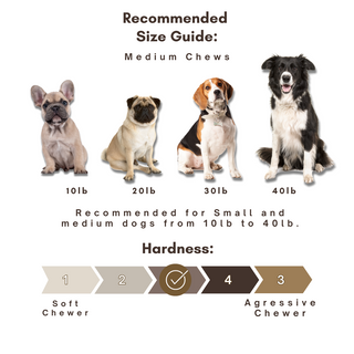 Medium - Himalayan Yak Cheese Dog Chew - Single or Multipack