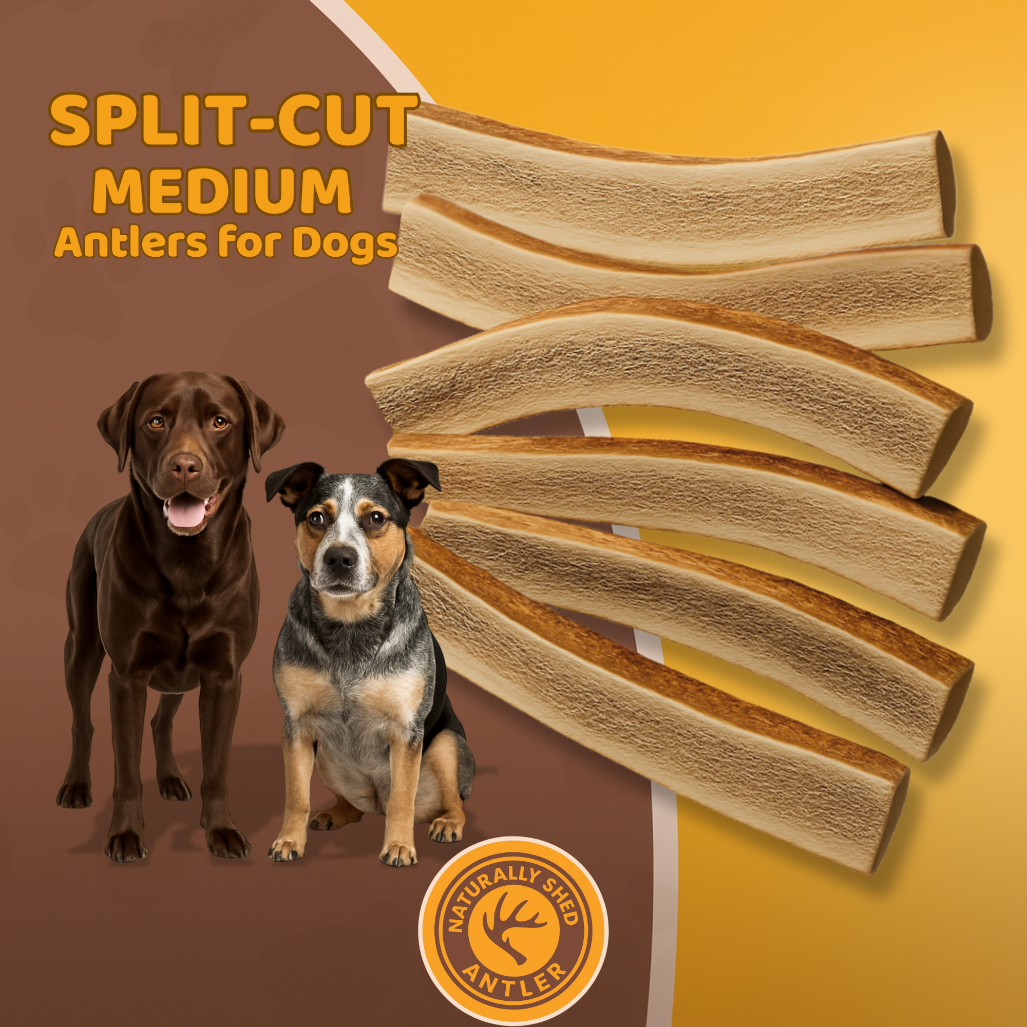 Medium | Split Elk Antler Dog Chews - Single or Multipack