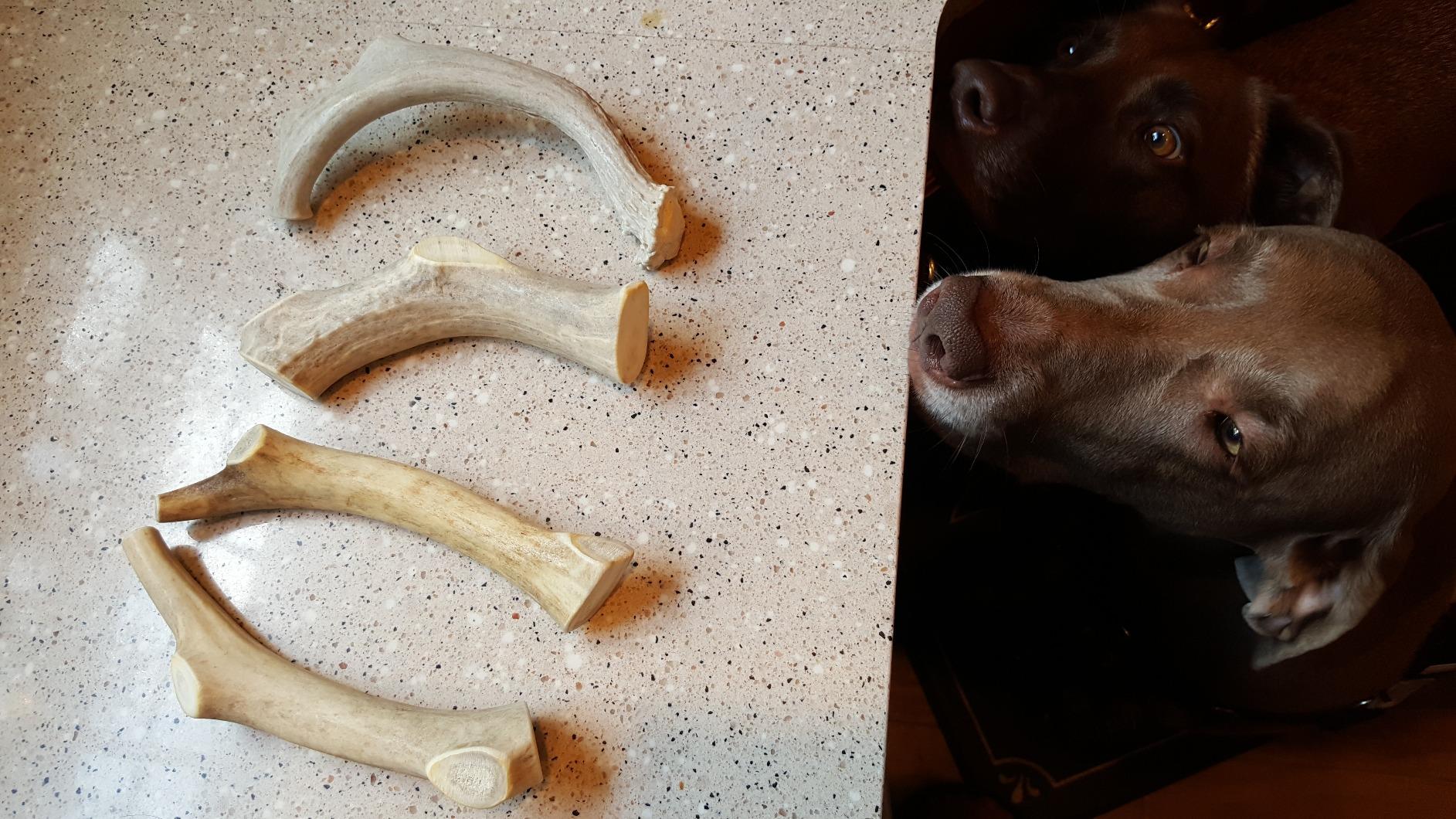 1 Pound Pack | Premium Whole Elk Antler Chews