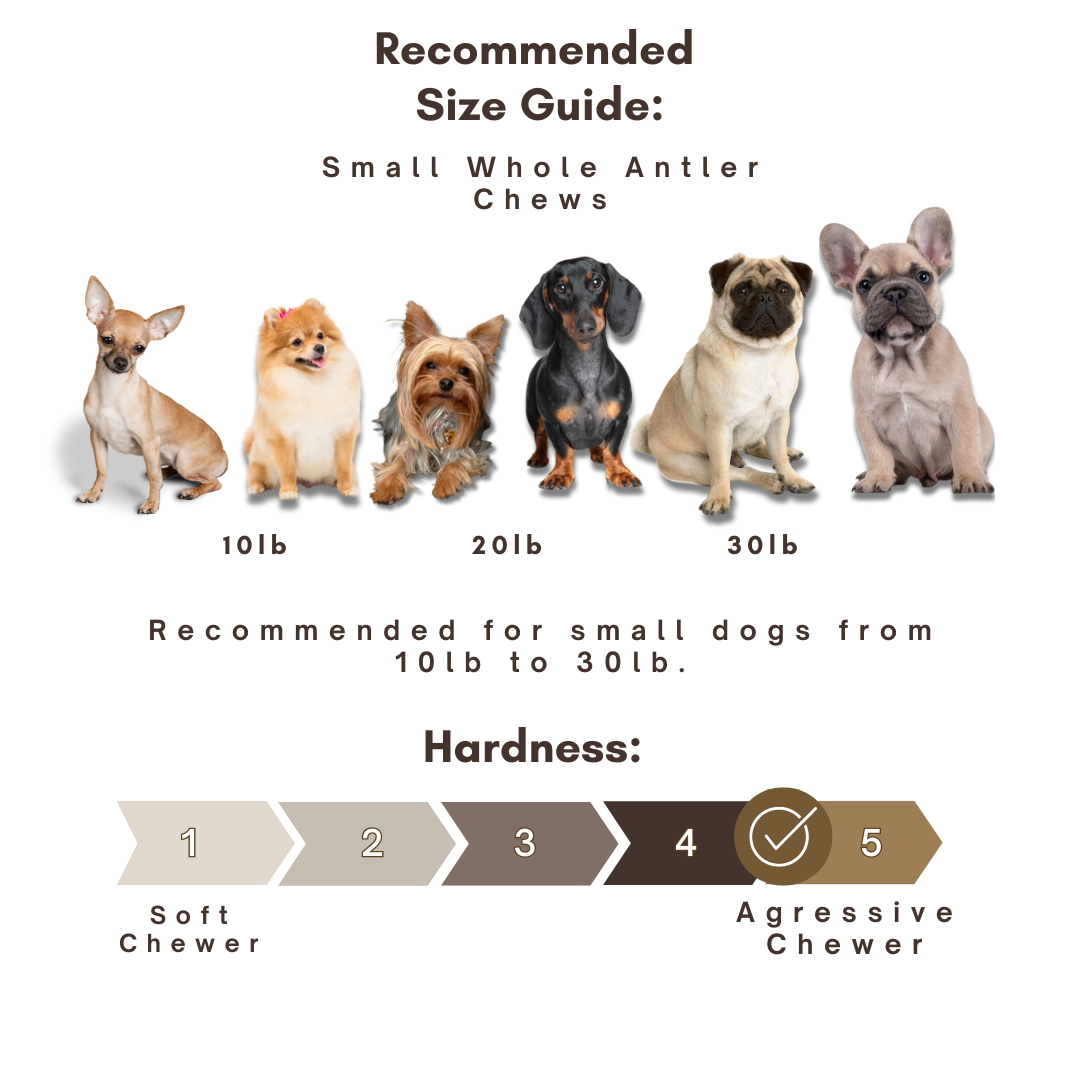 1 Pack - Small/Thick | Deer Antler Dog Chews Thick